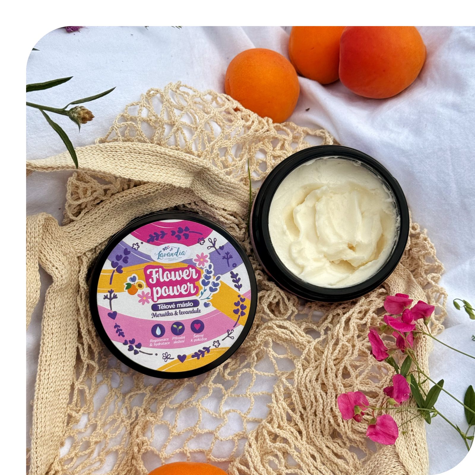 Produktové karty - fotky u textu_1